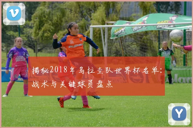 揭秘2018年乌拉圭队世界杯名单：战术与关键球员盘点
