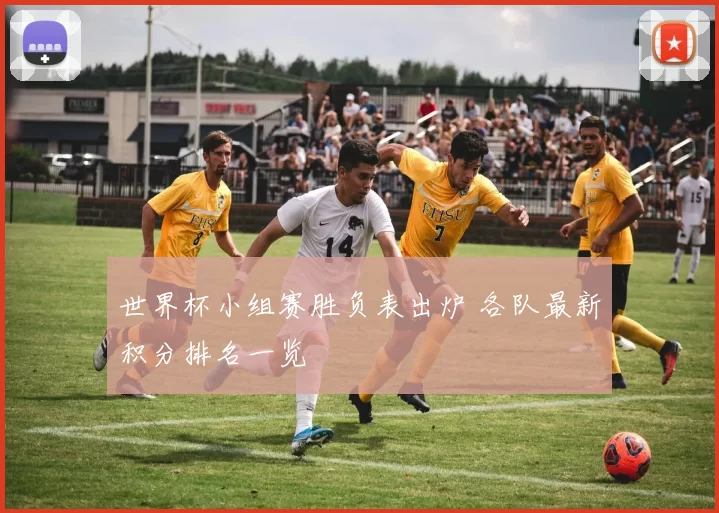 世界杯小组赛胜负表出炉 各队最新积分排名一览