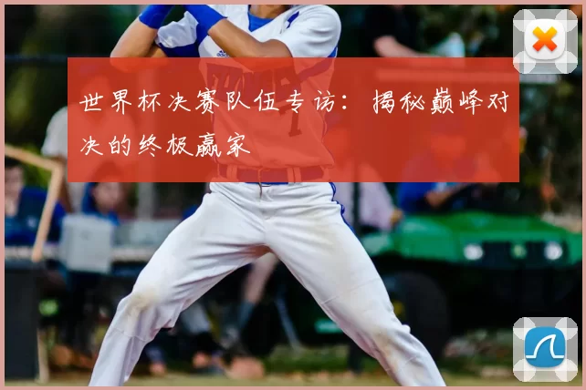 世界杯决赛队伍专访：揭秘巅峰对决的终极赢家