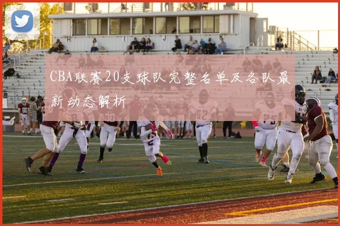 CBA联赛20支球队完整名单及各队最新动态解析