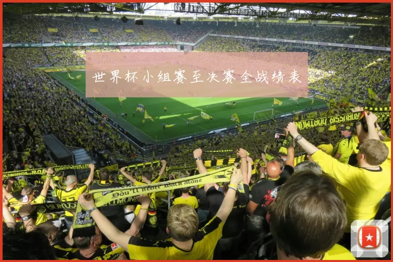 世界杯小组赛至决赛全战绩表